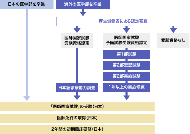 医学部留学 海外医学部 医師免許について チェコ国立大学医学部