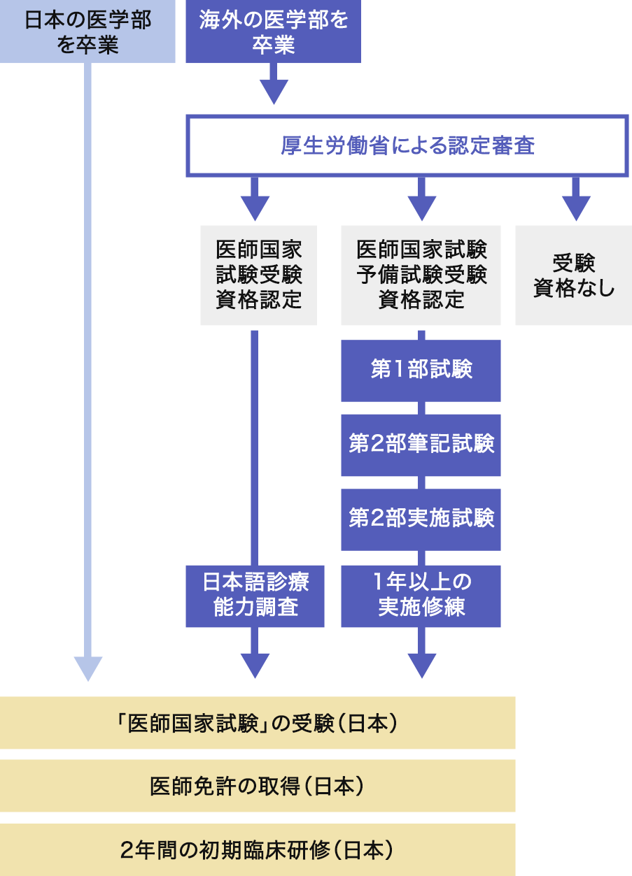 医学 博士 医師 免許